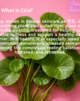 Cica plant leaves on a pink background with text about Cica skincare benefits.