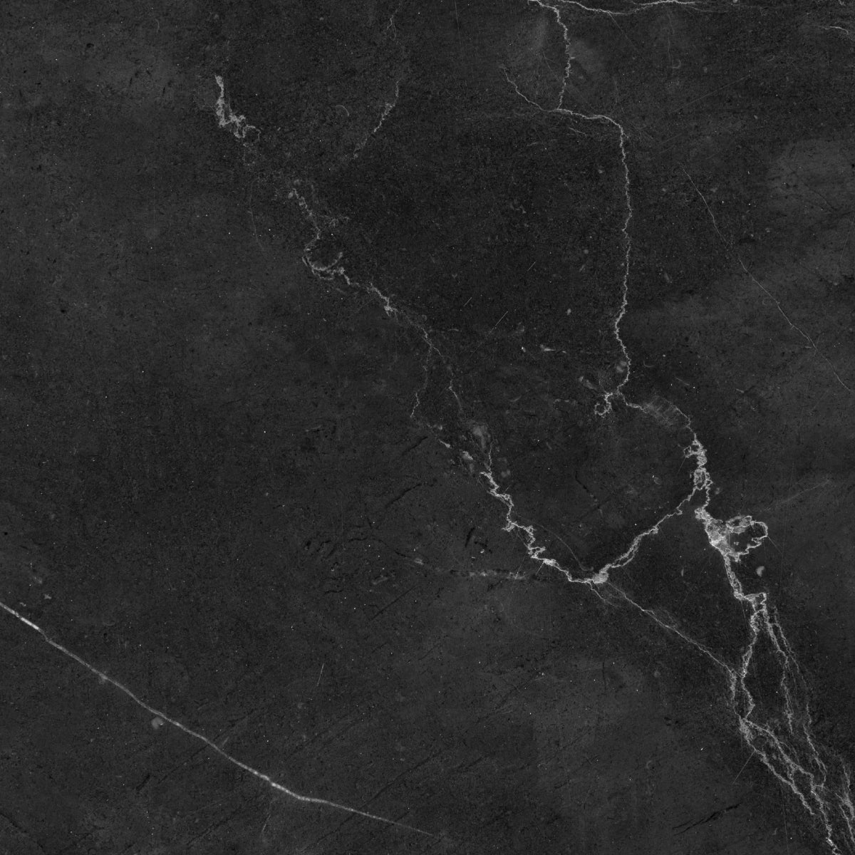 Black Friday/ Holiday Sale